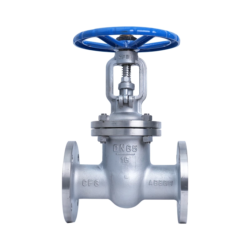 National Standard Manual Gate Valves in Stainless Steel