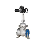 Motorized Gate Valves for Remote Control