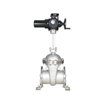 Motorized Gate Valves for Remote Control
