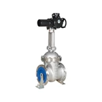 Motorized Gate Valves for Remote Control