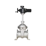 Motorized Gate Valves for Remote Control
