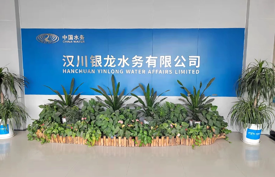 Asmik do meter used in china water